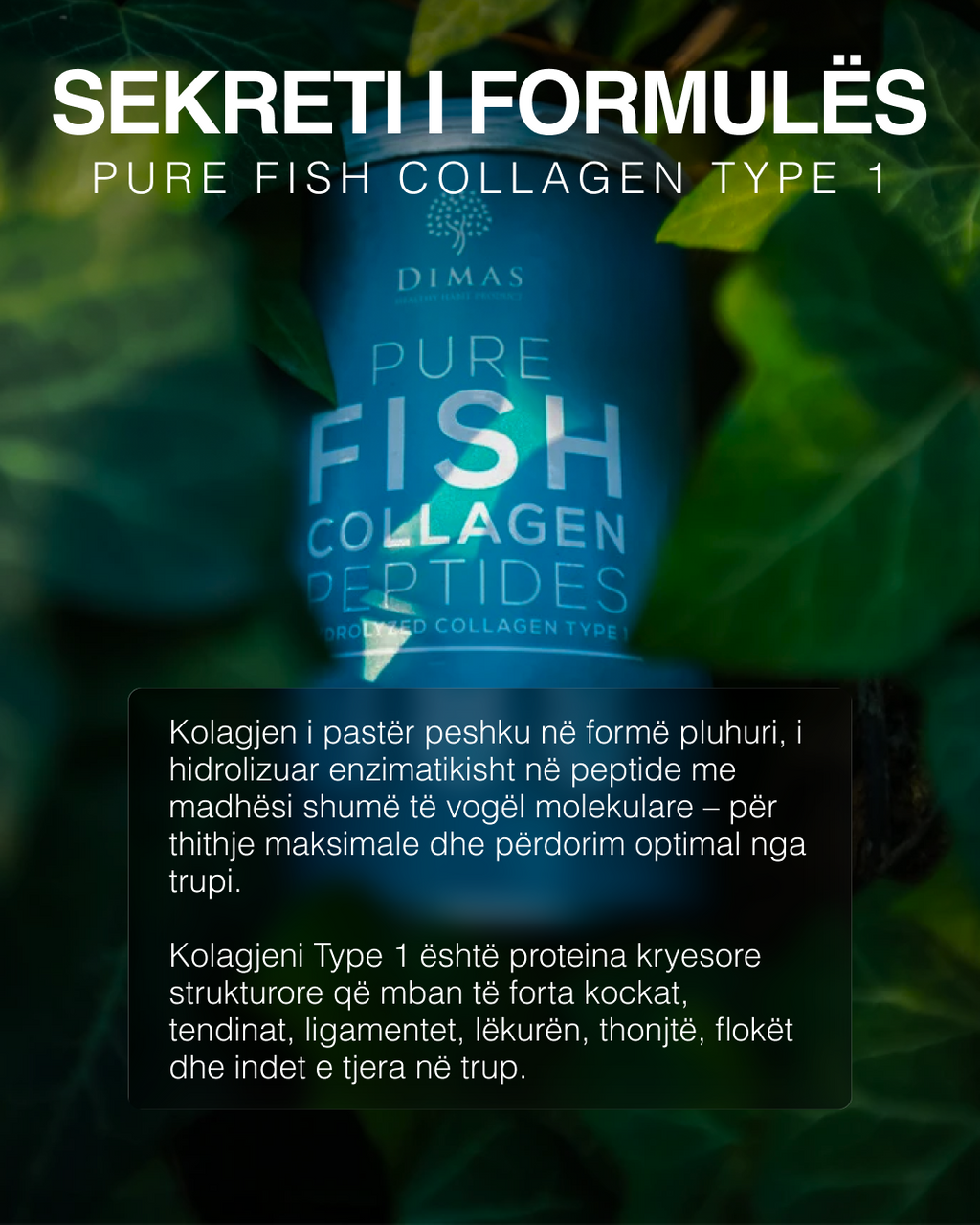 Kolagjen i Pastër Peshku